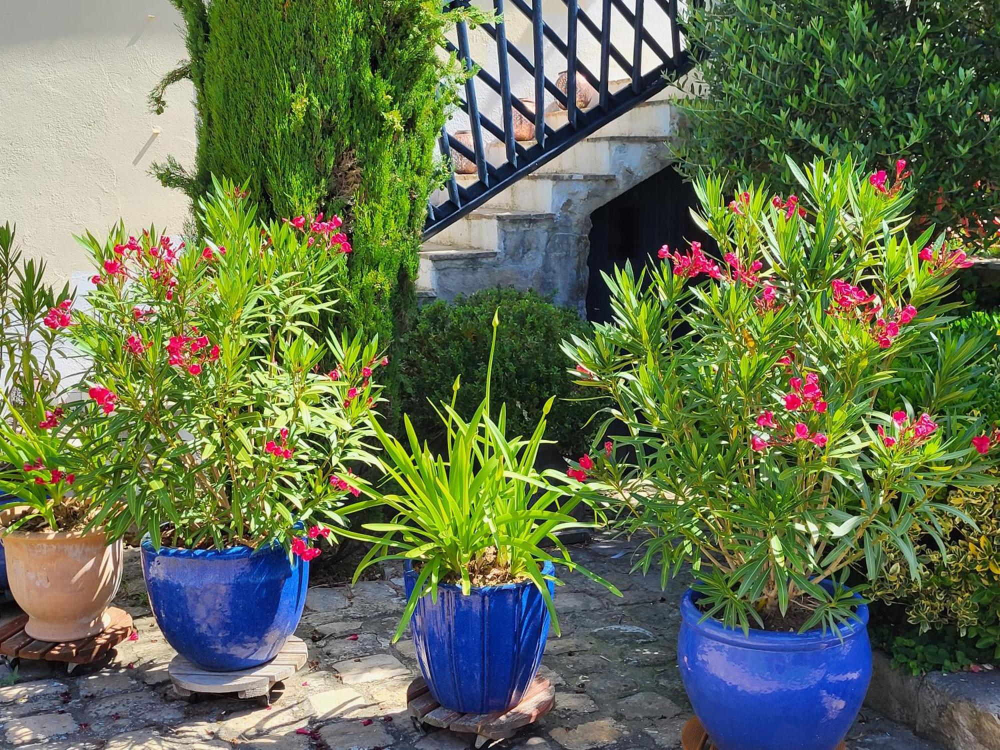 Ury Les Glycines B&B 외부 사진