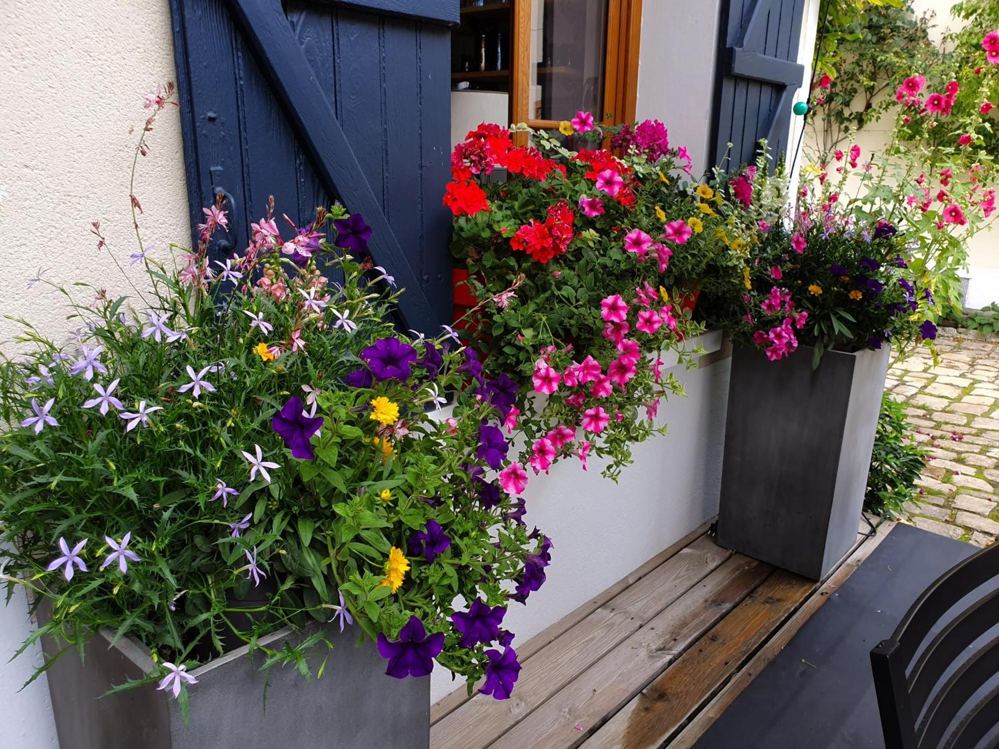 Ury Les Glycines B&B 외부 사진