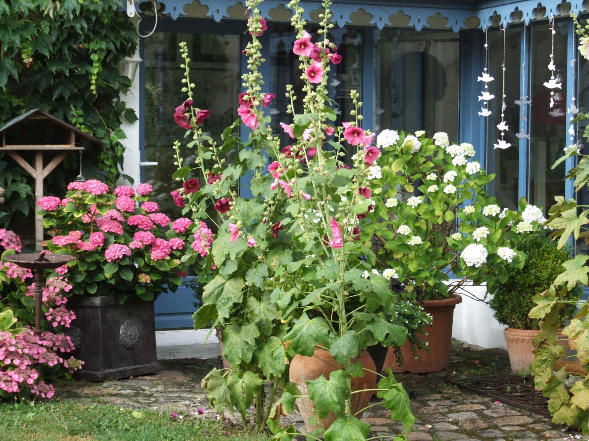 Ury Les Glycines B&B 외부 사진