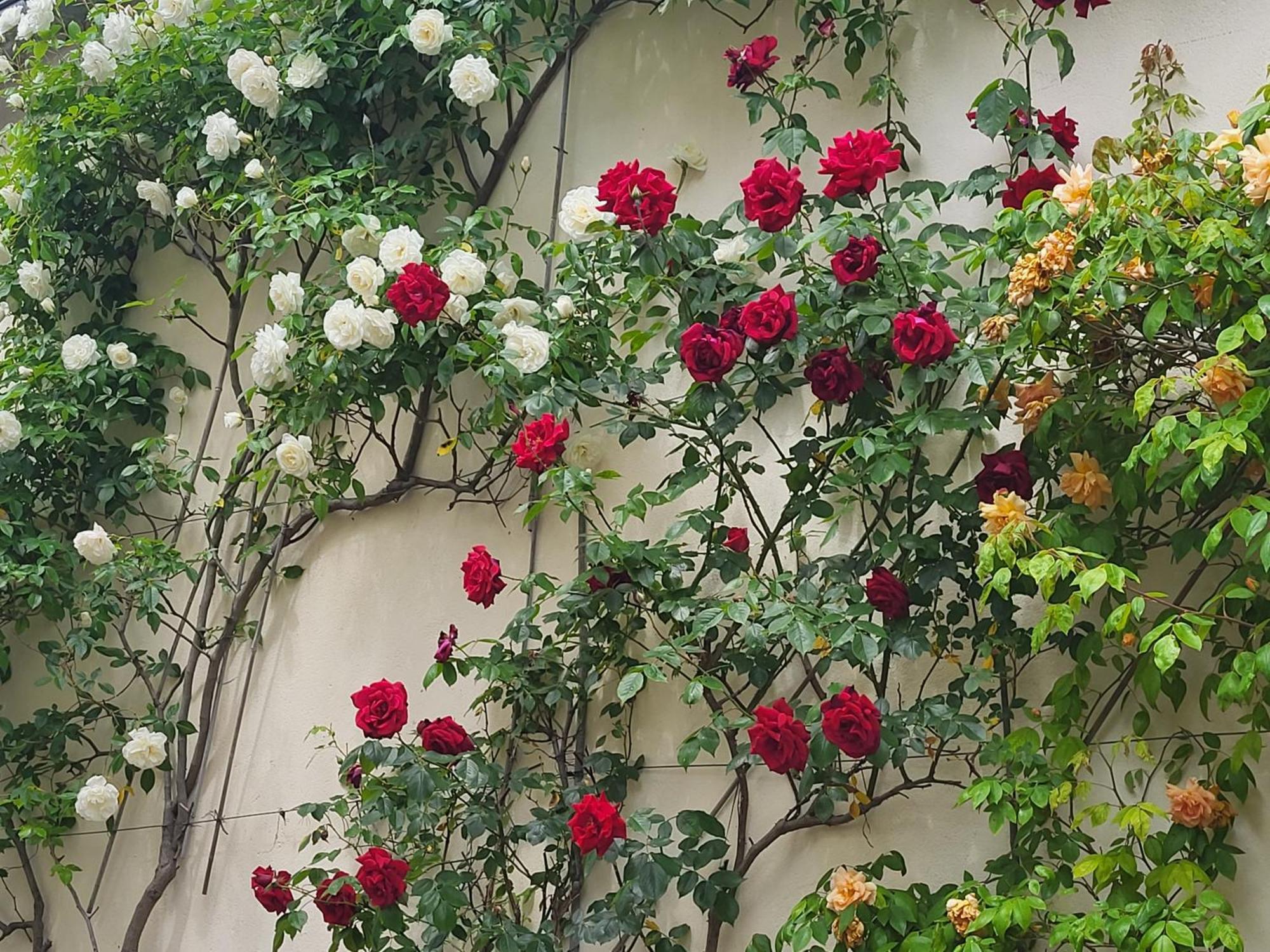 Ury Les Glycines B&B 외부 사진